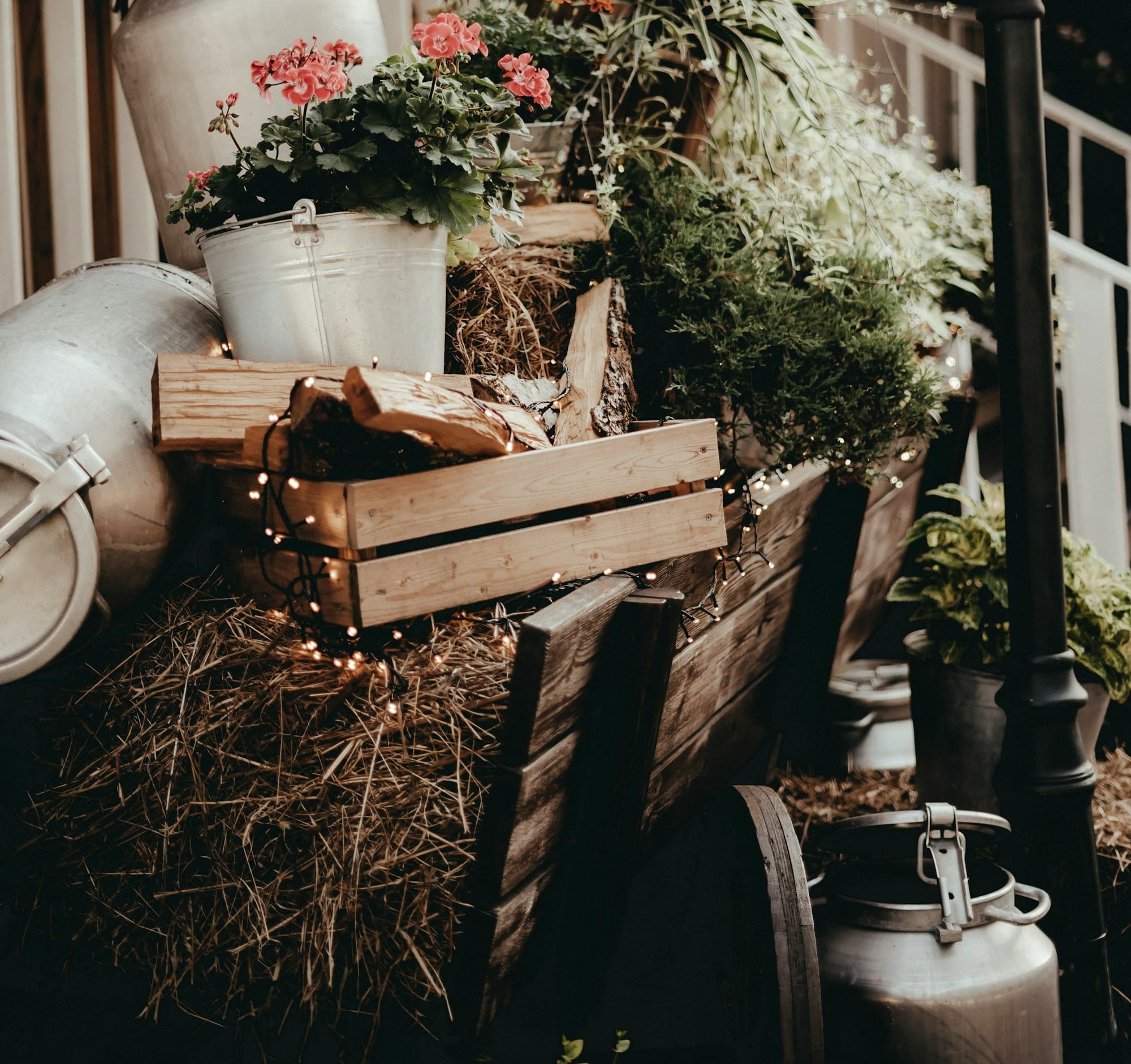 a bunch of plants that are sitting on a table